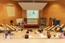 Article image gallery