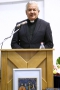 Article image gallery